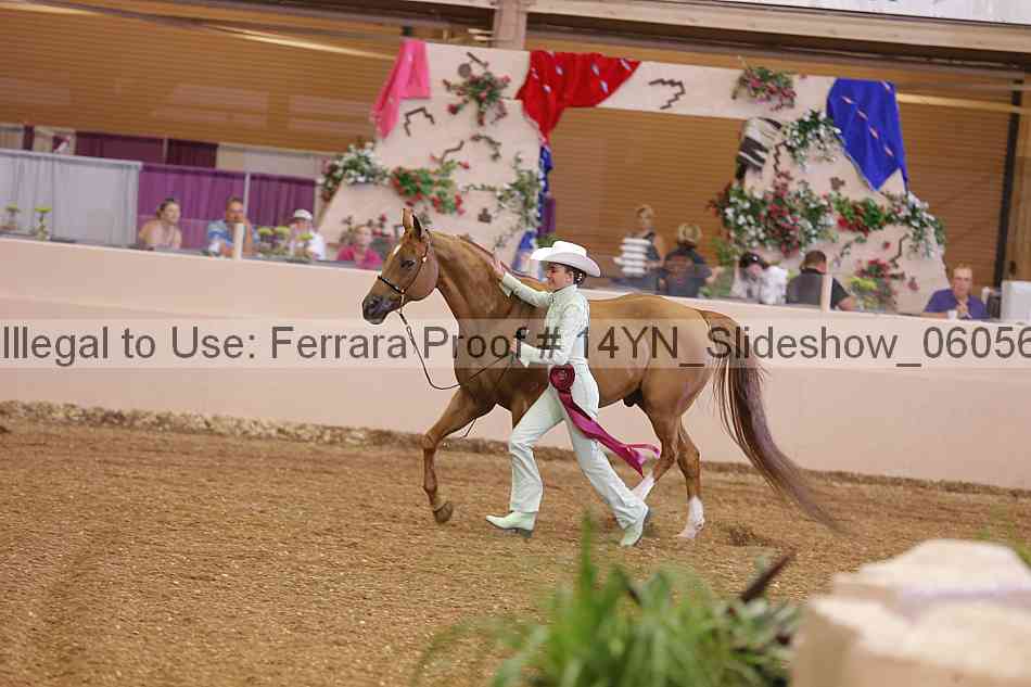 Proof Number 14yn_slideshow_06056
