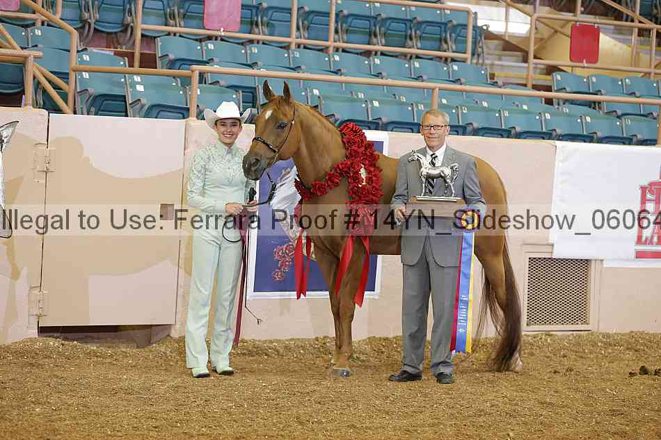 Proof Number 14yn_slideshow_06064