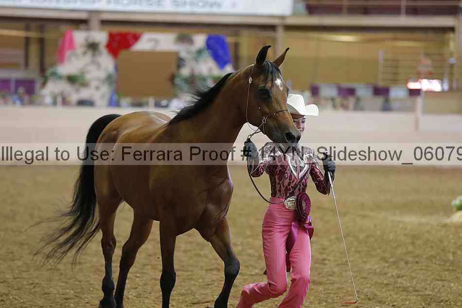 Proof Number 14yn_slideshow_06079