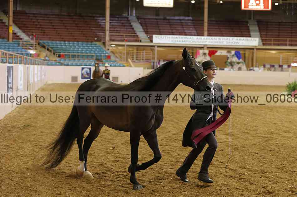 Proof Number 14yn_slideshow_06088