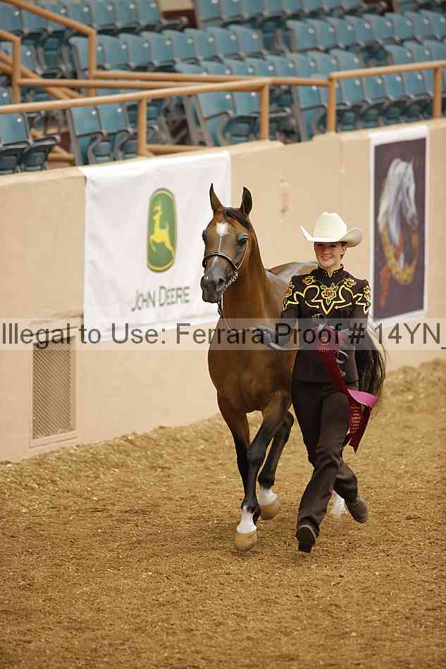 Proof Number 14yn_slideshow_06091