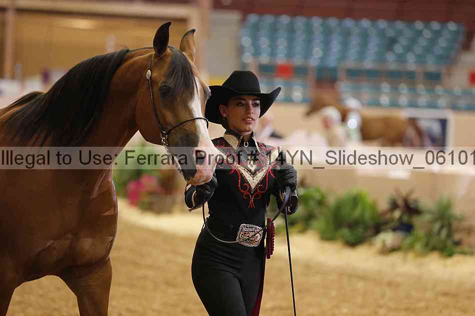 Proof Number 14yn_slideshow_06101
