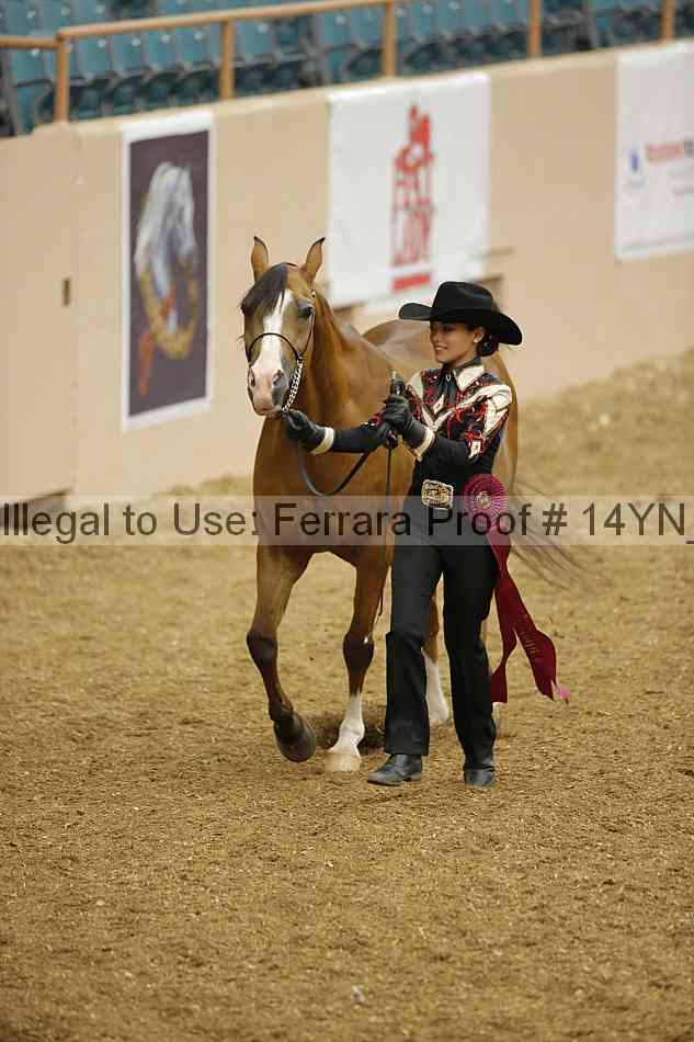 Proof Number 14yn_slideshow_06102