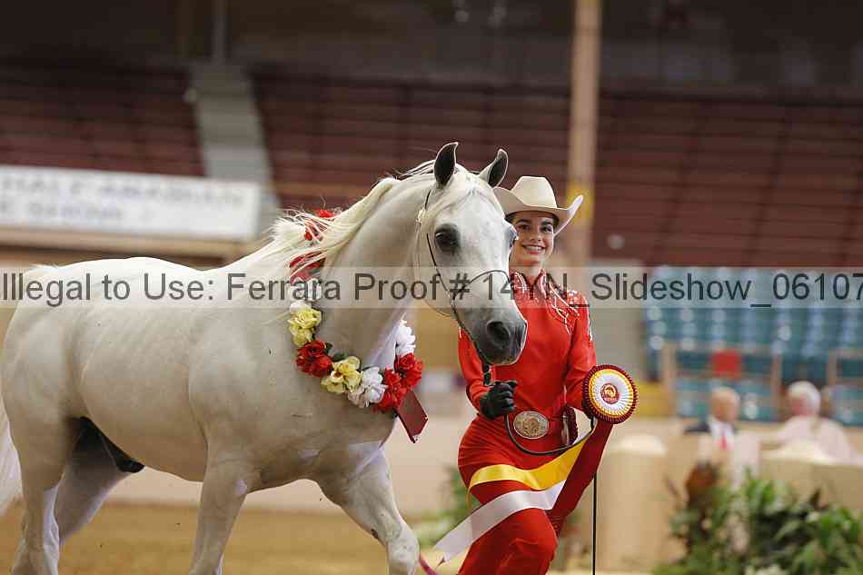 Proof Number 14yn_slideshow_06107