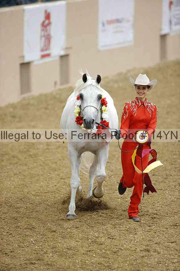 Proof Number 14yn_slideshow_06110