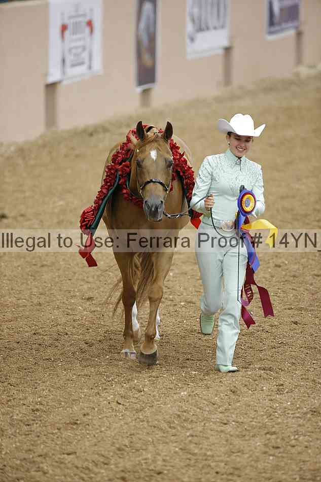 Proof Number 14yn_slideshow_06117
