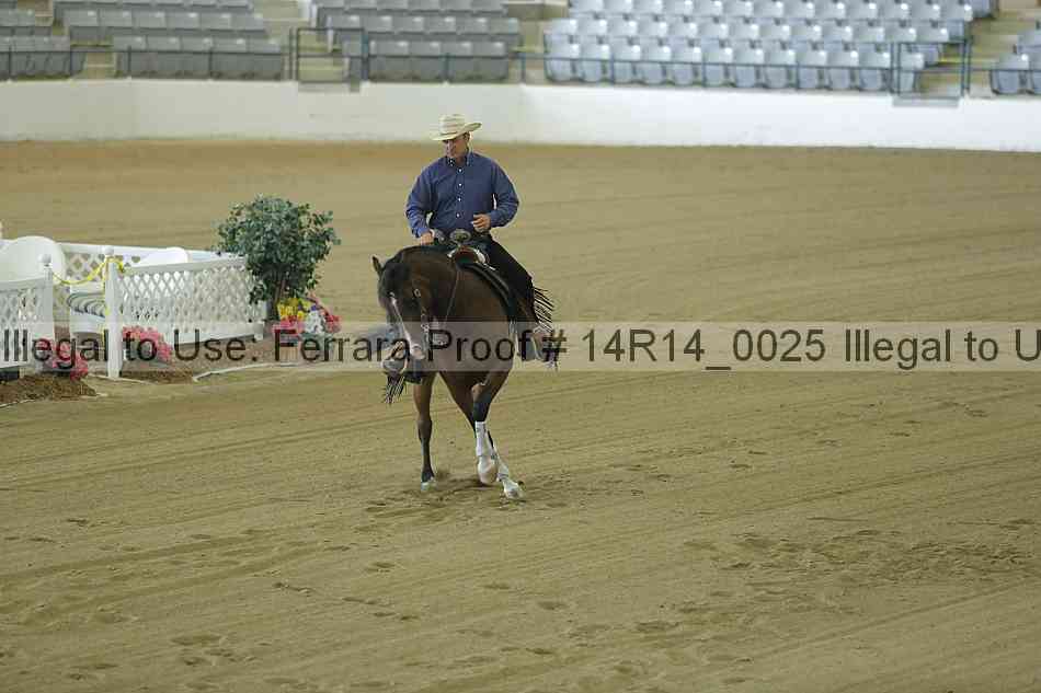 Proof Number 14r14_0025
