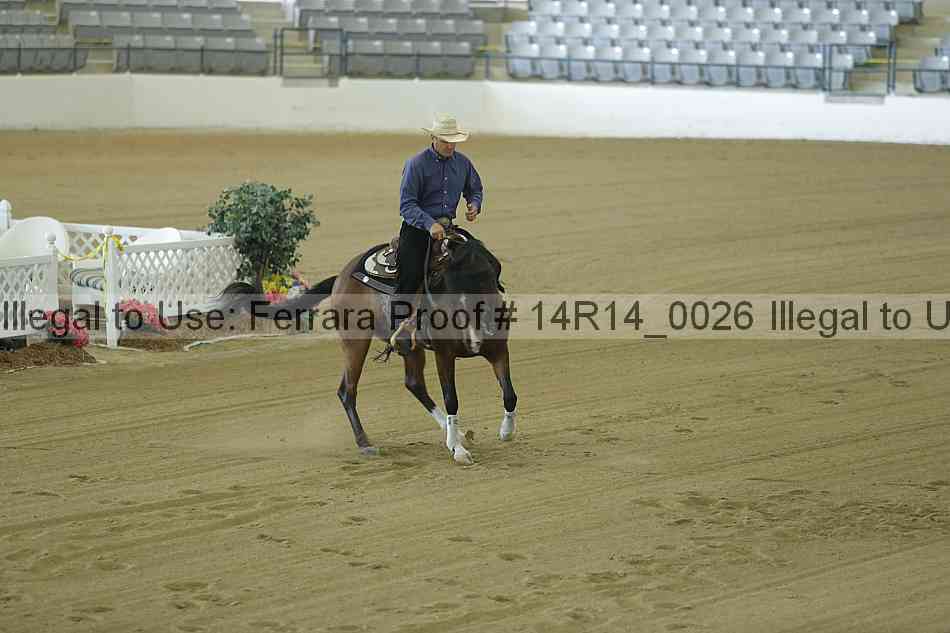 Proof Number 14r14_0026