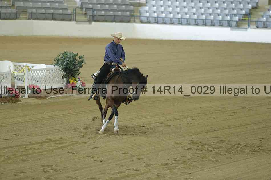 Proof Number 14r14_0029