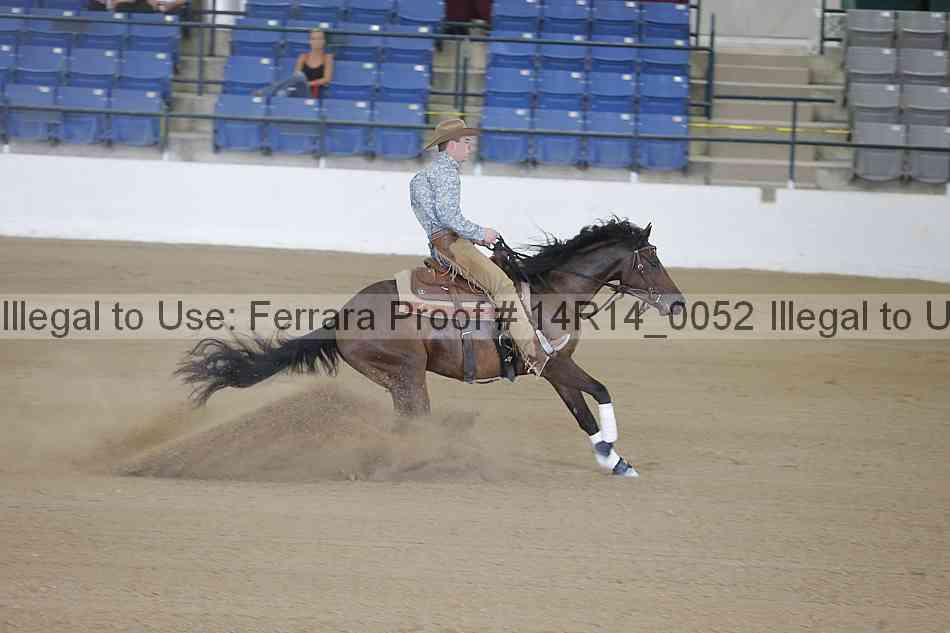 Proof Number 14r14_0052