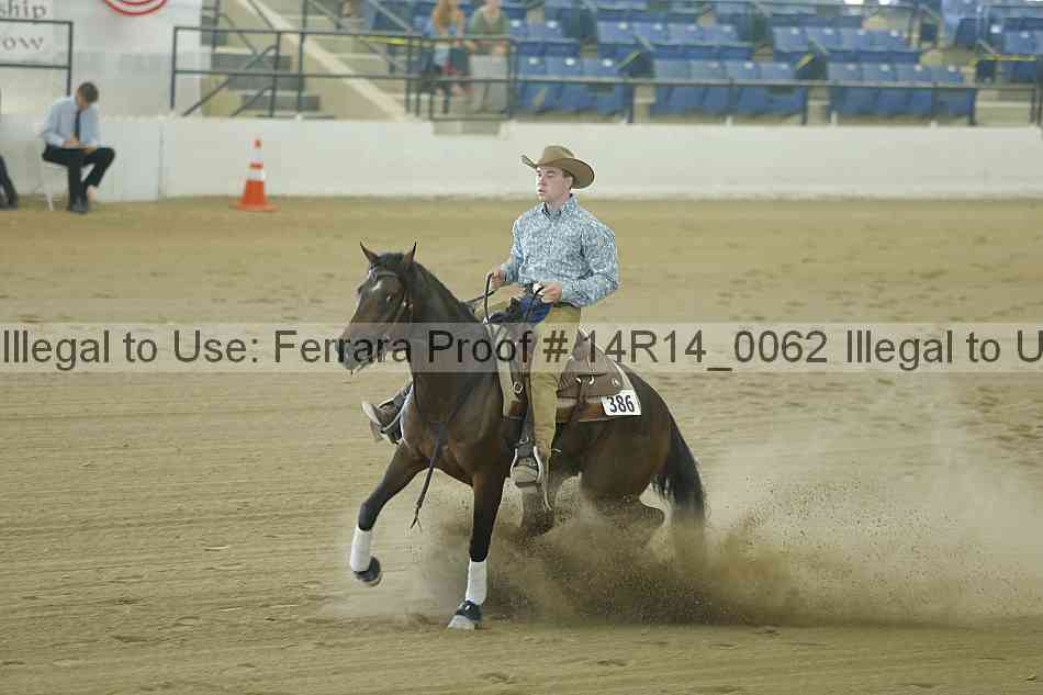 Proof Number 14r14_0062