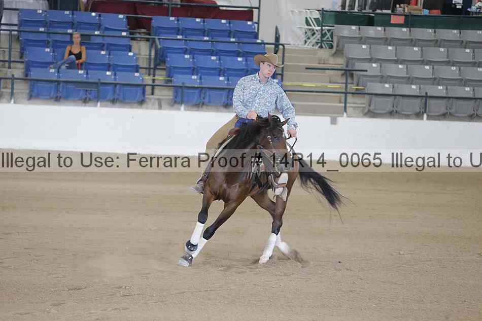 Proof Number 14r14_0065