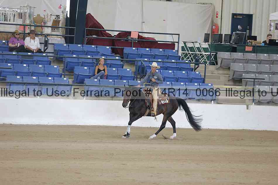 Proof Number 14r14_0066