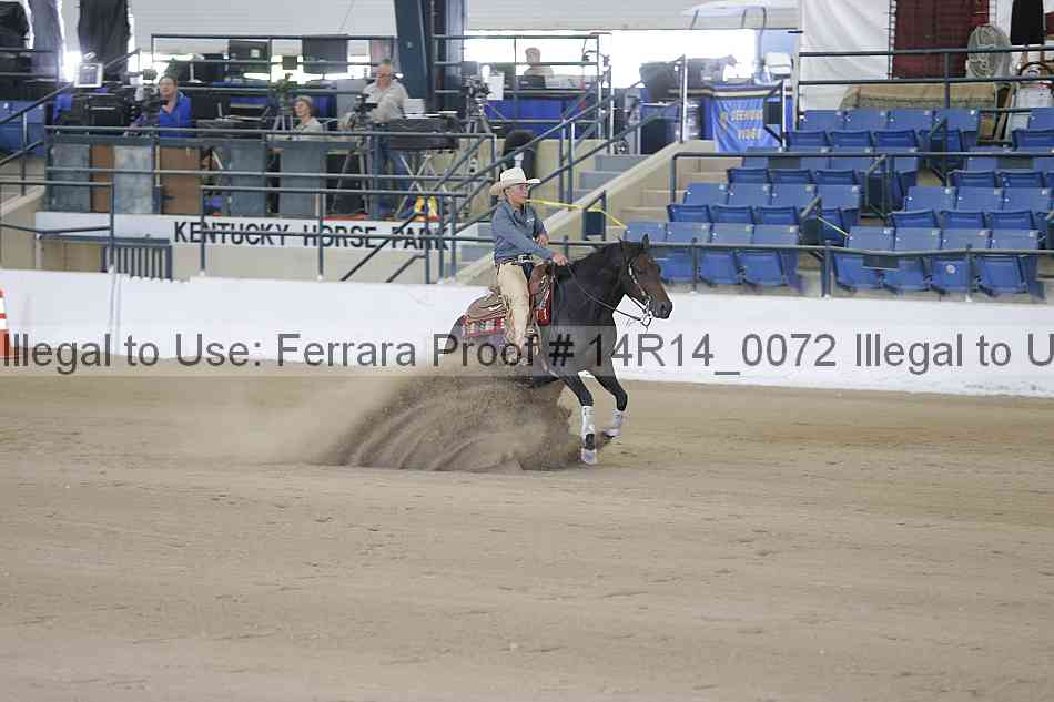 Proof Number 14r14_0072