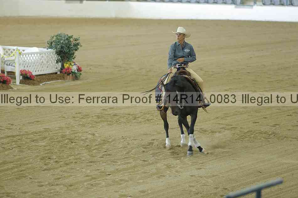 Proof Number 14r14_0083