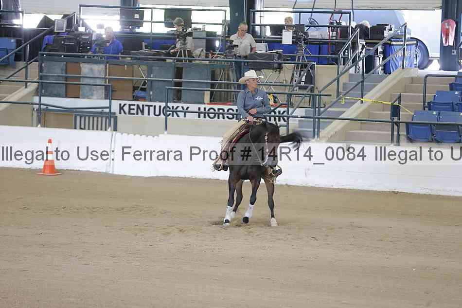 Proof Number 14r14_0084