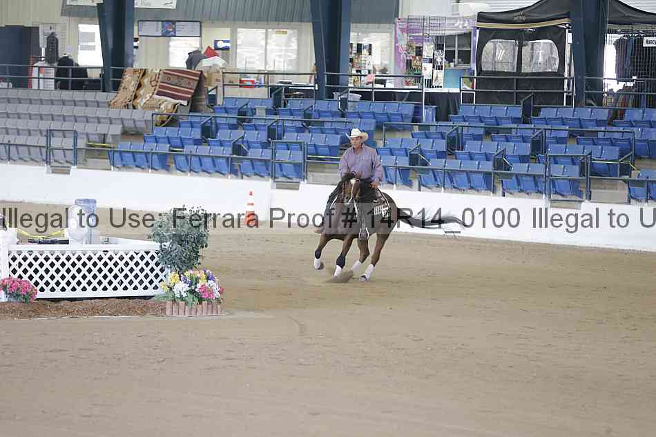 Proof Number 14r14_0100