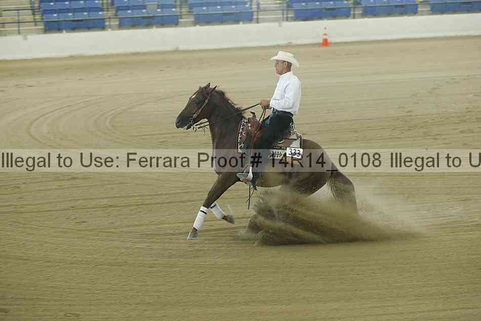 Proof Number 14r14_0108