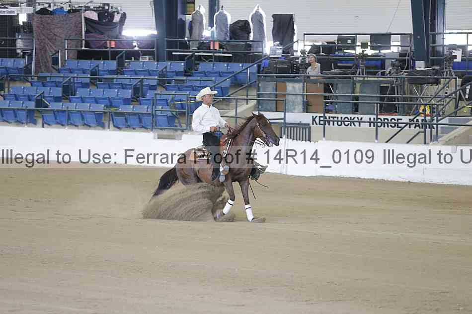 Proof Number 14r14_0109