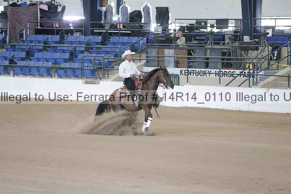 Proof Number 14r14_0110
