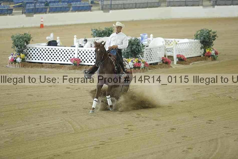 Proof Number 14r14_0115