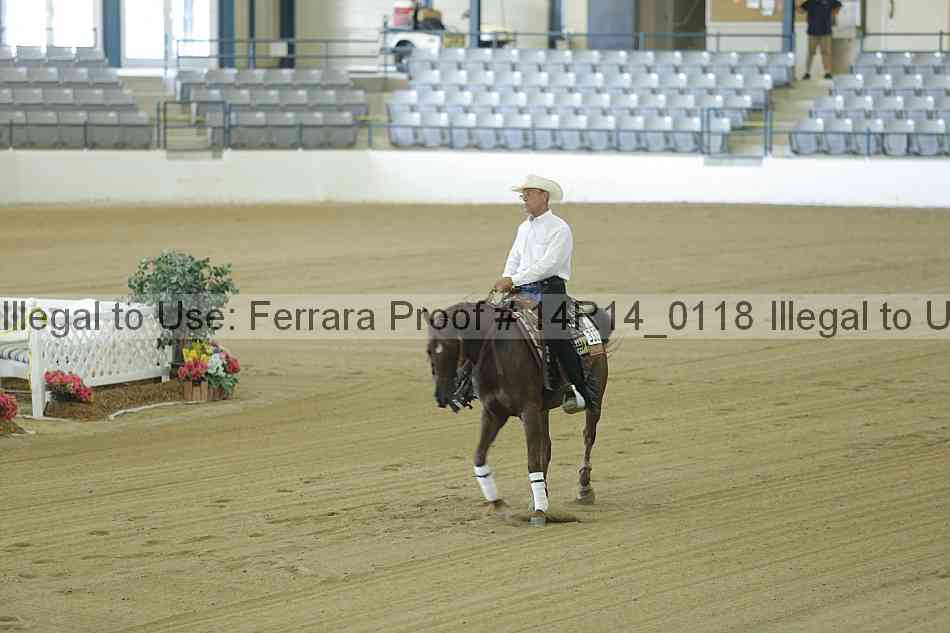 Proof Number 14r14_0118