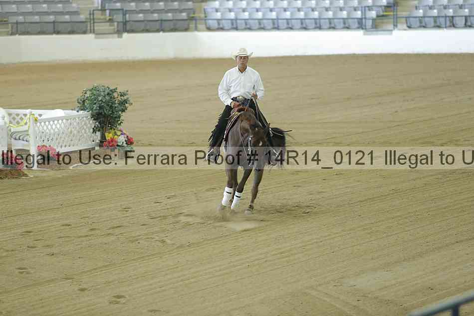 Proof Number 14r14_0121