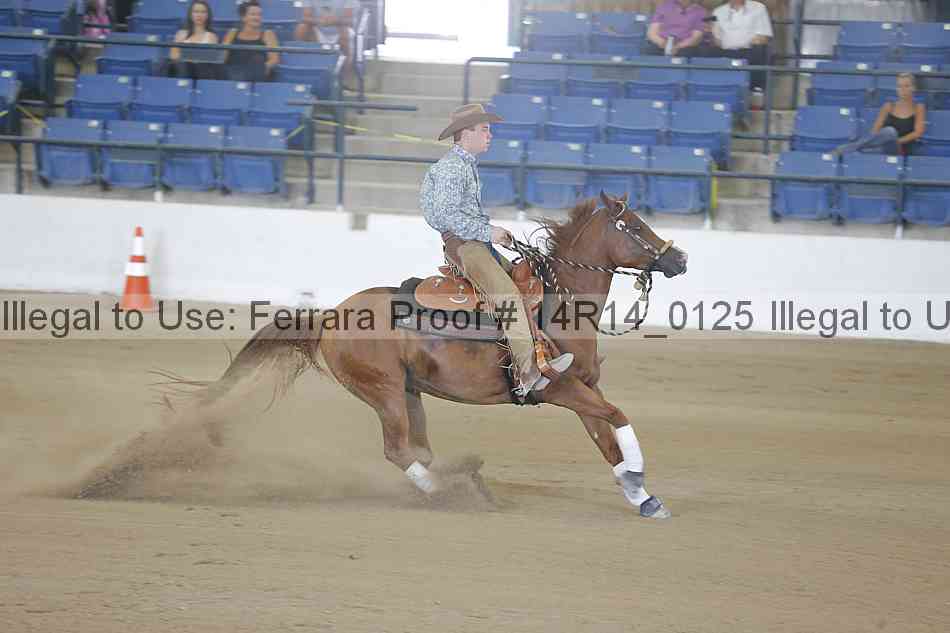 Proof Number 14r14_0125