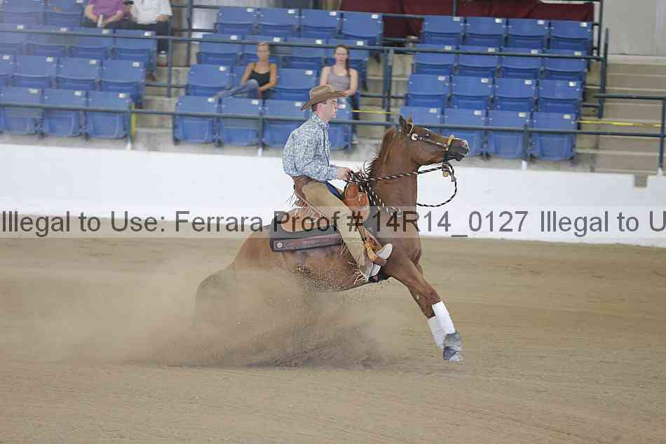 Proof Number 14r14_0127