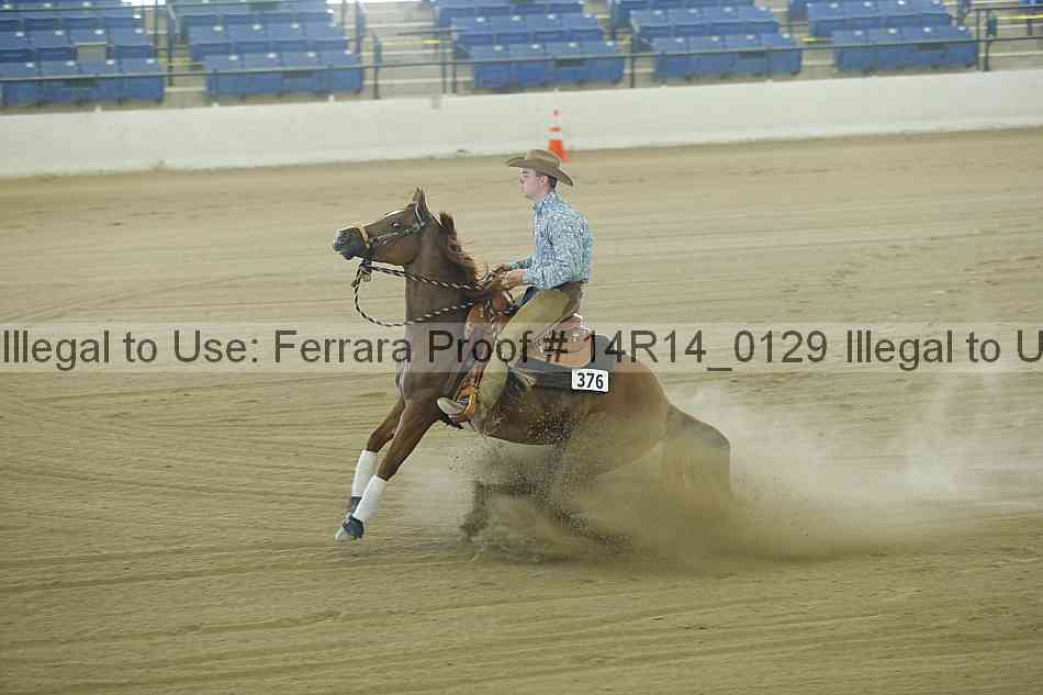 Proof Number 14r14_0129
