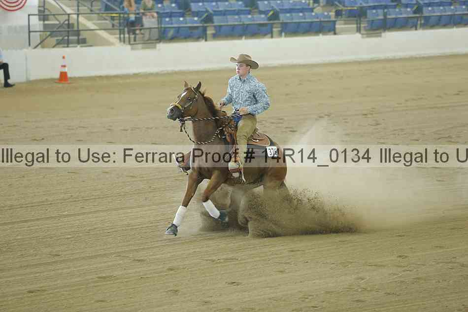 Proof Number 14r14_0134