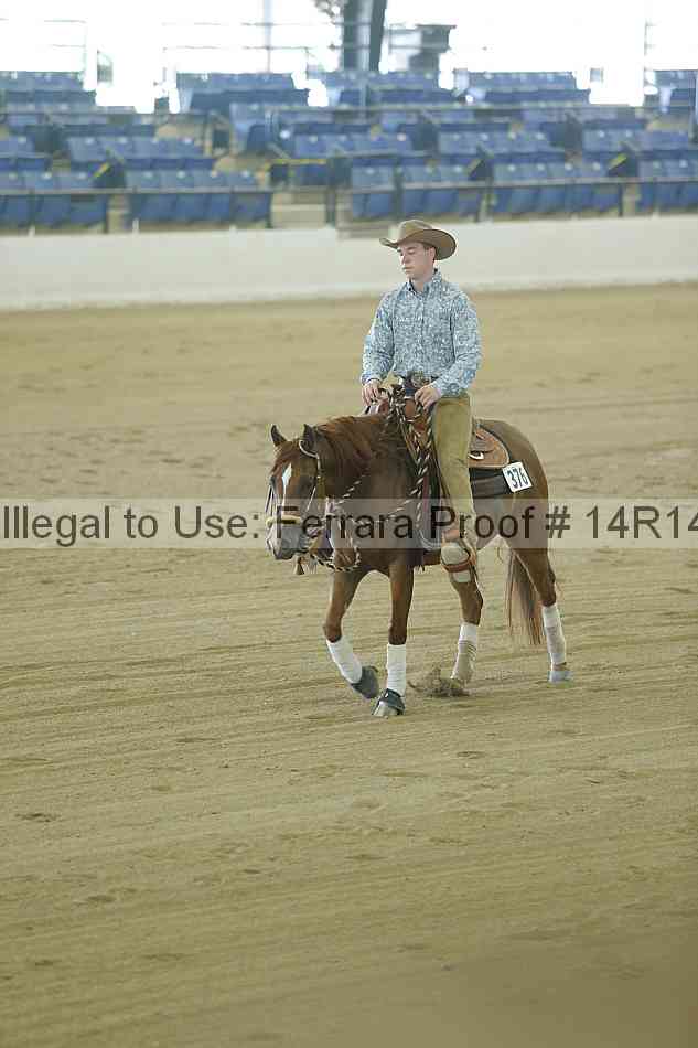 Proof Number 14r14_0138