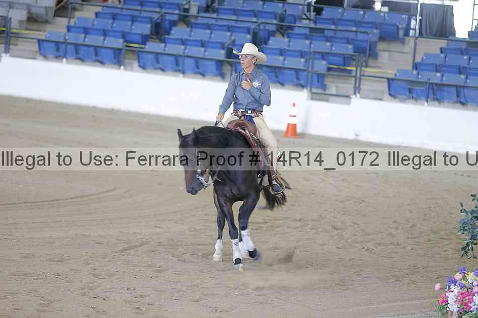 Proof Number 14r14_0172