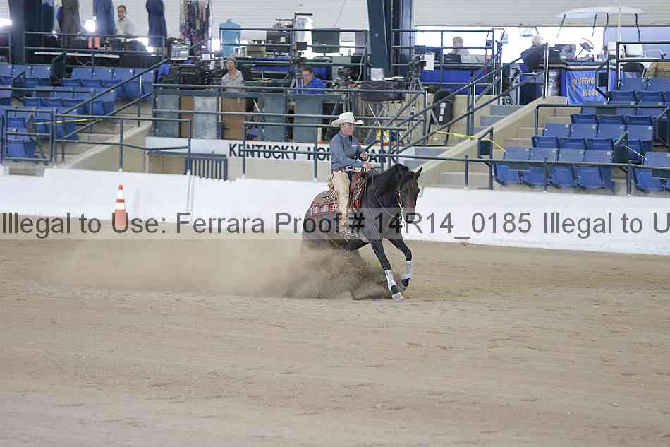 Proof Number 14r14_0185