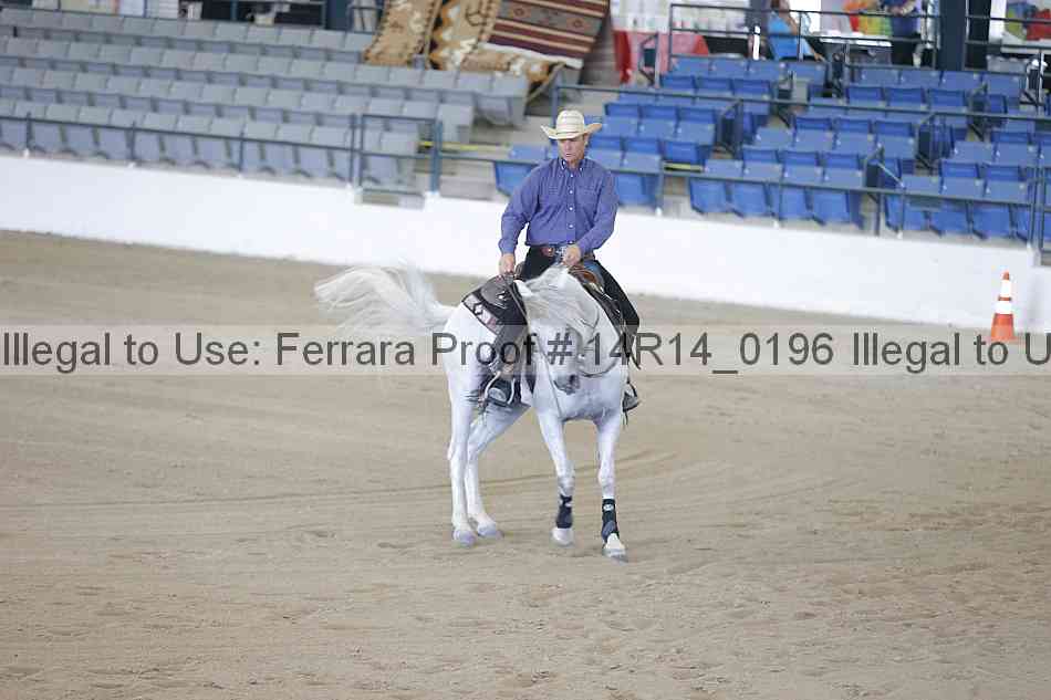 Proof Number 14r14_0196