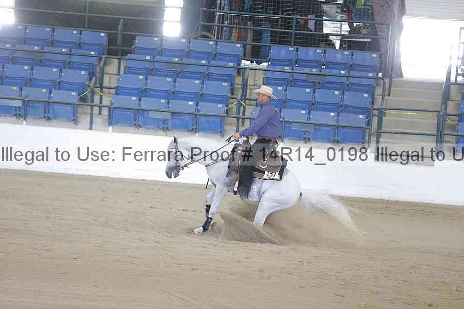Proof Number 14r14_0198