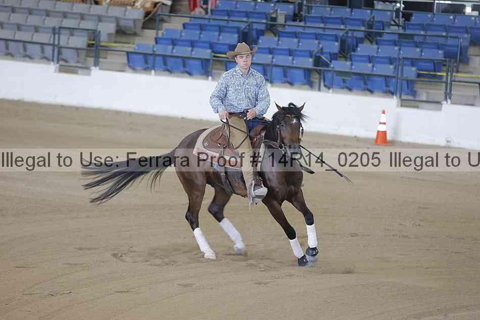 Proof Number 14r14_0205
