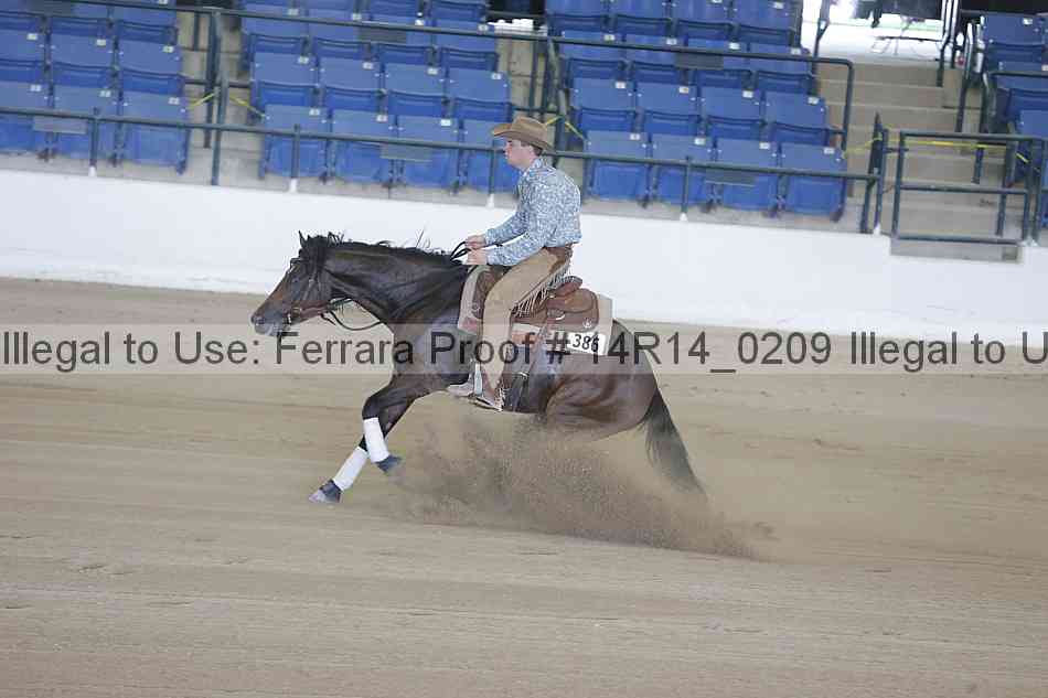 Proof Number 14r14_0209