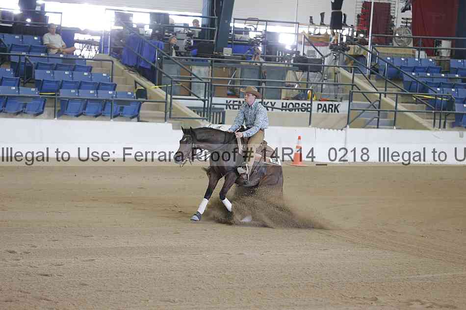 Proof Number 14r14_0218
