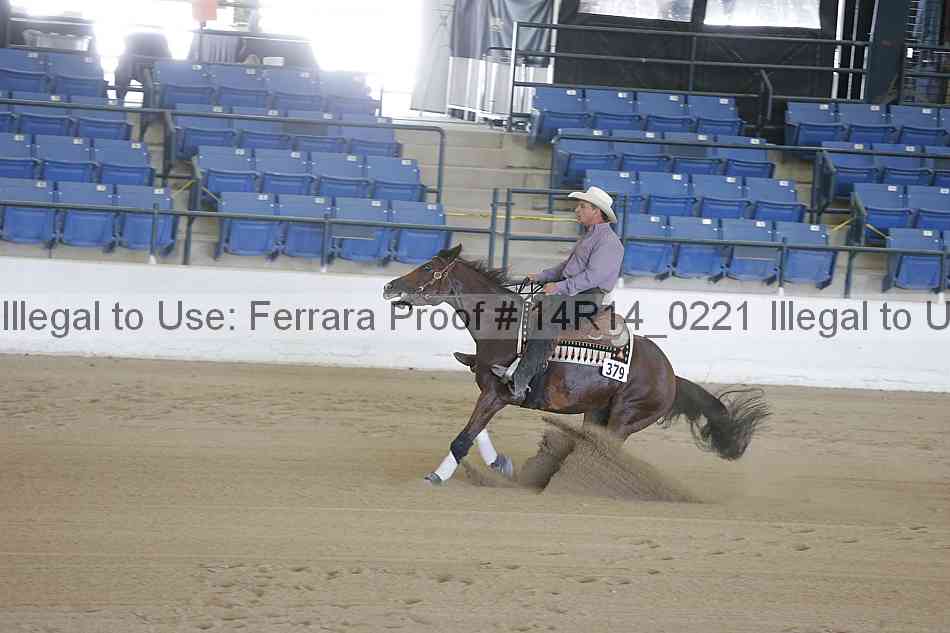 Proof Number 14r14_0221