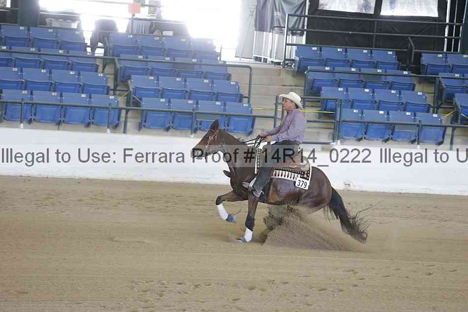 Proof Number 14r14_0222