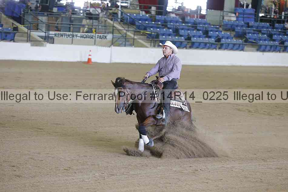 Proof Number 14r14_0225