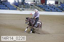 14r14_0226 thumbnail