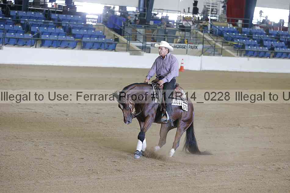Proof Number 14r14_0228