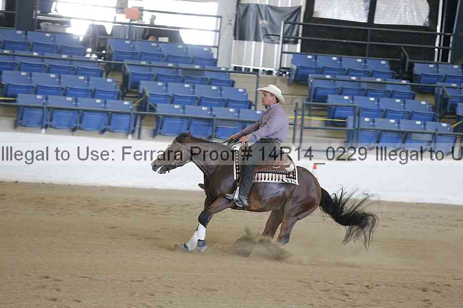 Proof Number 14r14_0229
