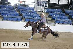 14r14_0229 thumbnail