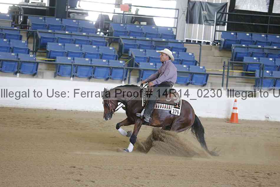 Proof Number 14r14_0230
