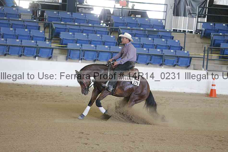 Proof Number 14r14_0231