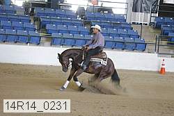 14r14_0231 thumbnail