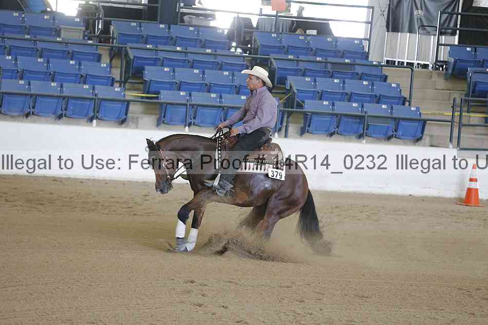Proof Number 14r14_0232